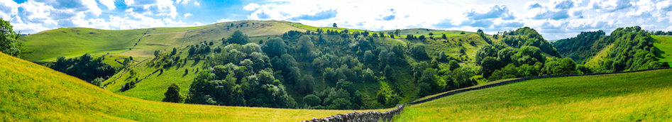 Verdant valley with folds in the land and ribbons of deciduous trees