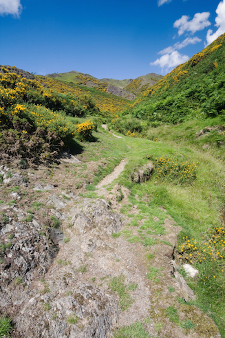 Path leading up through the Cardingmill Valley