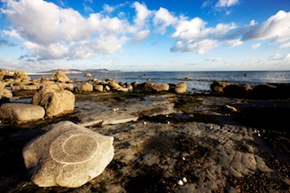 Fossils on the beach on the Jurassic Coast