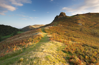 Green path leading through the bracken up toward the summit of Hope Bowdler Hill 