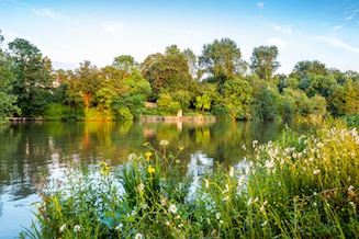 Rural scene on the River Thames