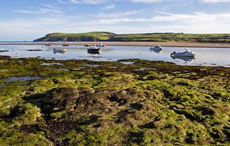 View across rockpools and a tidal inlet to a headland beyond. Boats moored in the water