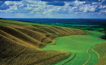 The folds of grassland on the edge of The Manager below Uffington Castle