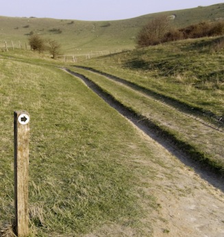 Picture of a signpost and the Ridgeway National Trail curving through a downland combe