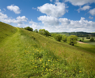 Inviting path rising up the side of a downland ridge