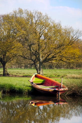 Rowing boat pulled up on the river bank