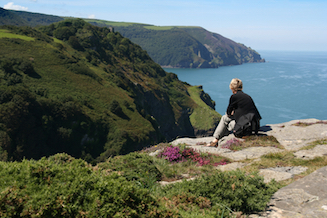 Walker sat on a rock on the North Devon Coast, looking out to sea