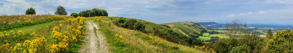 Path along the top of Trueleigh Hill with far-reaching views along the South Downs ridge