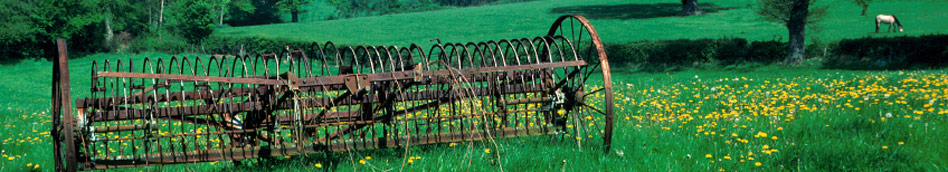 Old harrow in hay meadow